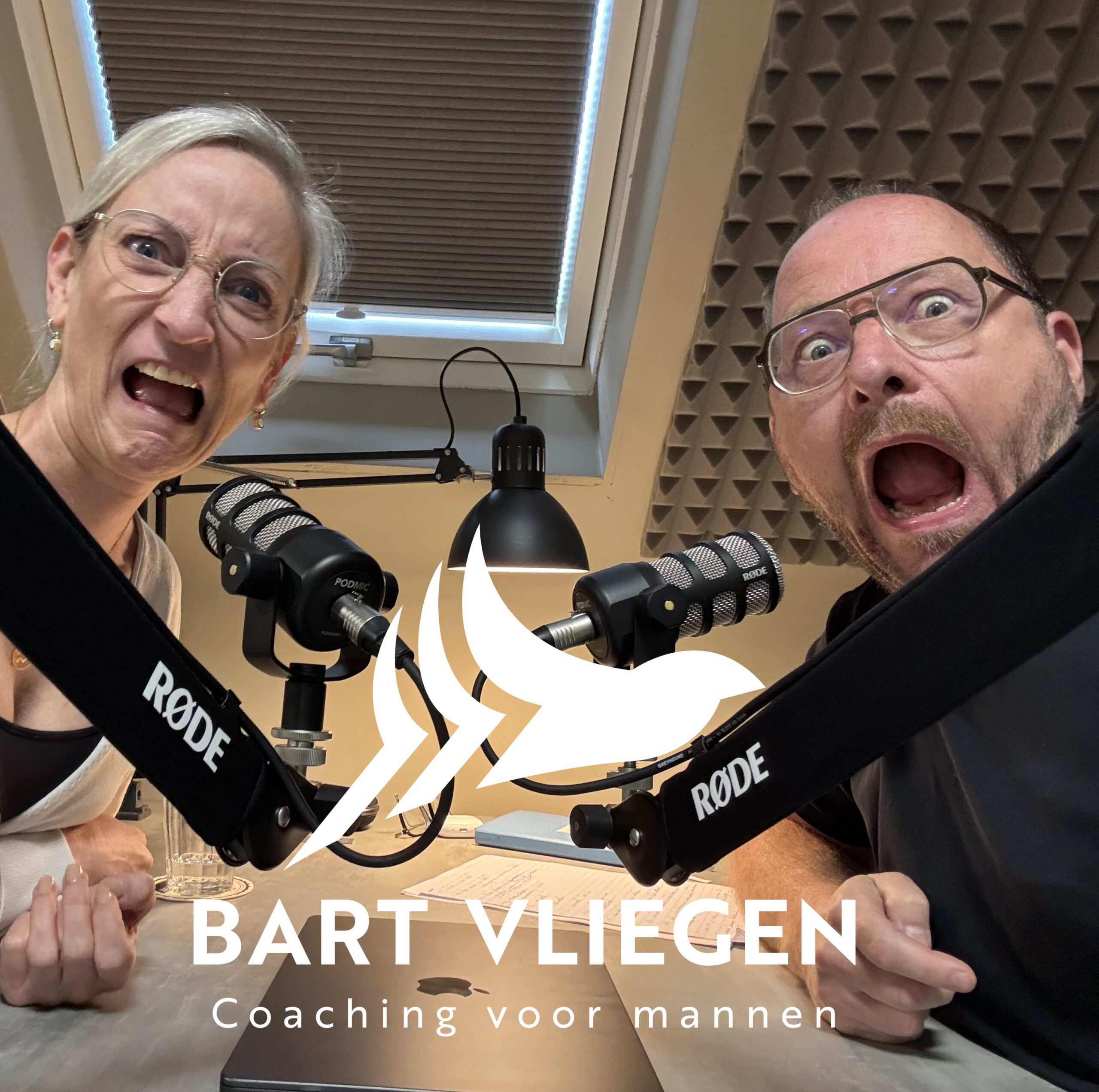 De tool die je relatie kan redden - Bart Vliegen podcast